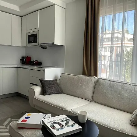 Apartamento Sleek Cozy & Brand New 1br Flat W/ Parking + Gym #25b Estambul
